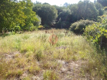 Terreno para Venda em São Paio