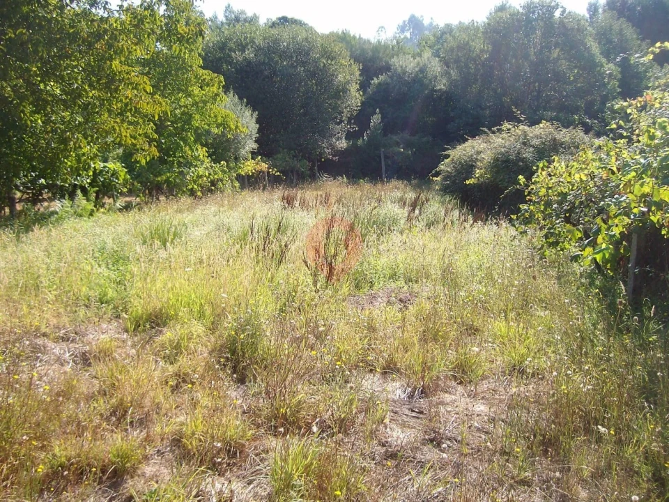 Terreno para Venda em São Paio Foto 1