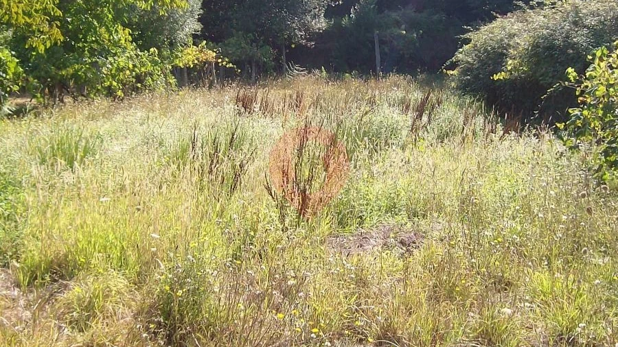 Terreno para Venda em São Paio
