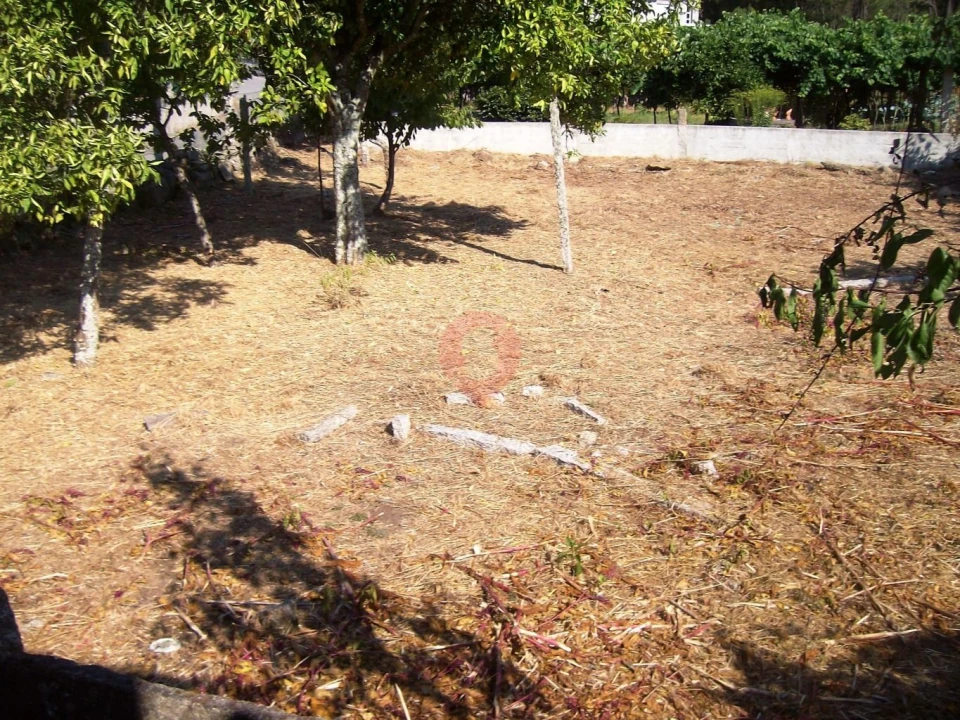 Terreno para Venda em Longos Vales Foto 1