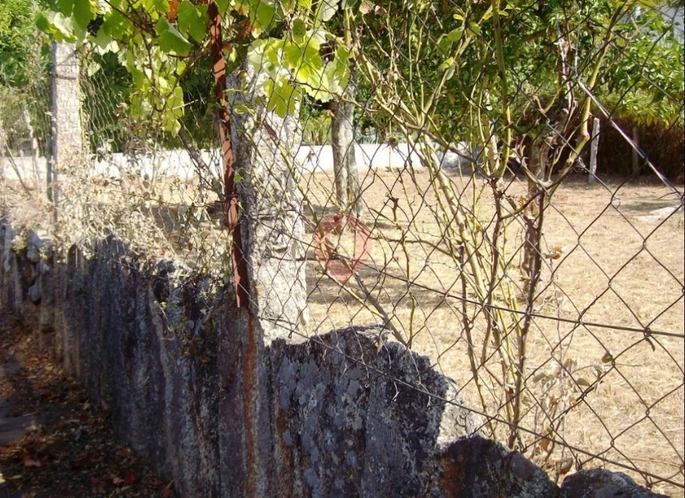 Terreno para Venda em Longos Vales Foto 2