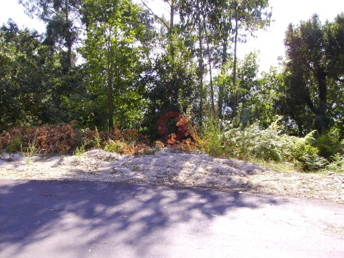 Terreno para Venda em Vila e Roussas Foto 2