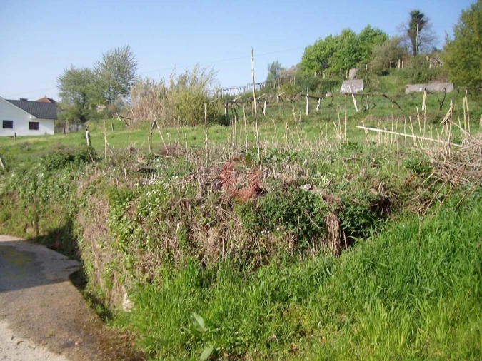 Terreno para Venda em São Paio Foto 3