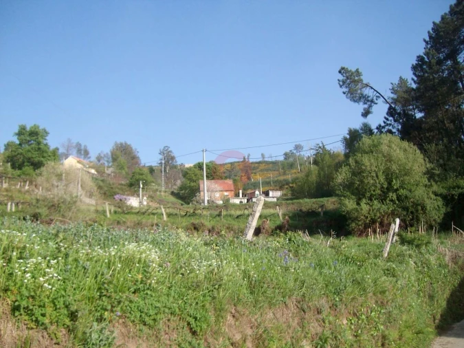 Terreno para Venda em São Paio Foto 4
