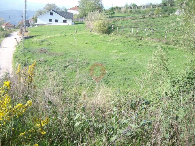 Terreno para Venda em São Paio Foto 2
