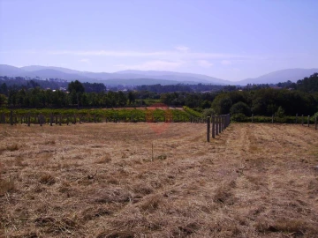 Terreno para Venda em Mazedo e Cortes
