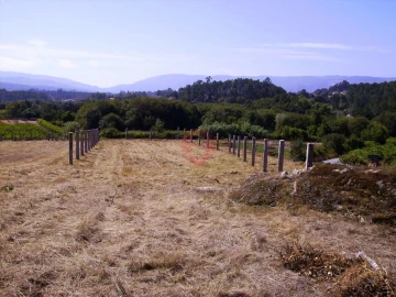 Terreno para Venda em Mazedo e Cortes