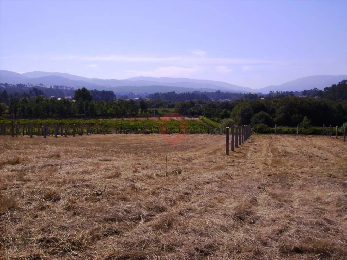 Terreno para Venda em Mazedo e Cortes Foto 3