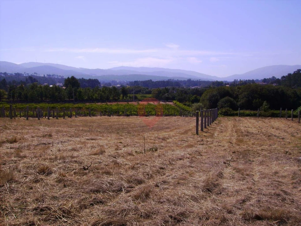 Terreno para Venda em Mazedo e Cortes Foto 3