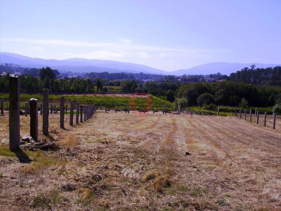 Terreno para Venda em Mazedo e Cortes Foto 1