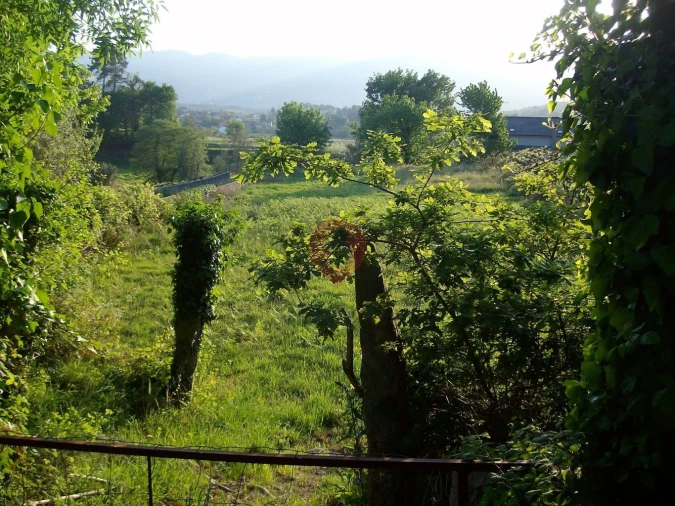 Terreno para Venda em Tangil Foto 4