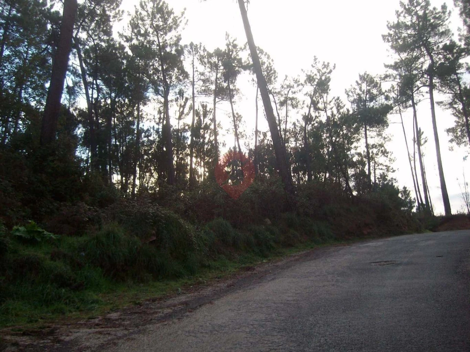 Terreno para Venda em Monção e Troviscoso Foto 2