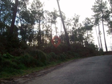 Terreno para Venda em Monção e Troviscoso