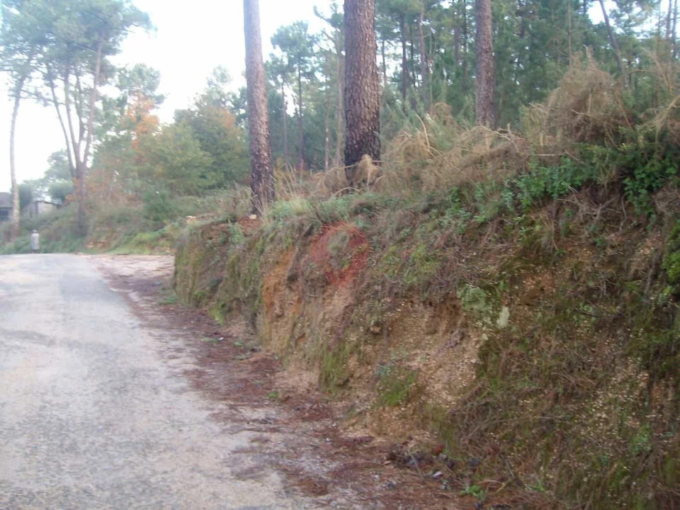 Terreno para Venda em Monção e Troviscoso Foto 3
