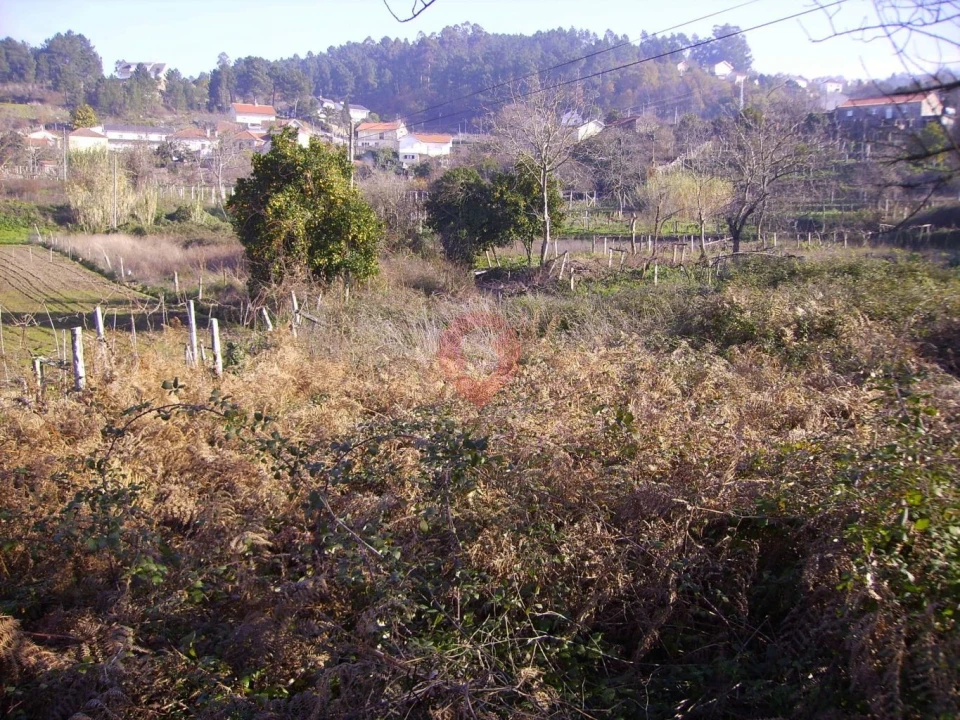 Terreno para Venda em Chaviães e Paços Foto 1