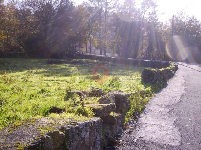Terreno para Venda em Chaviães e Paços Foto 1