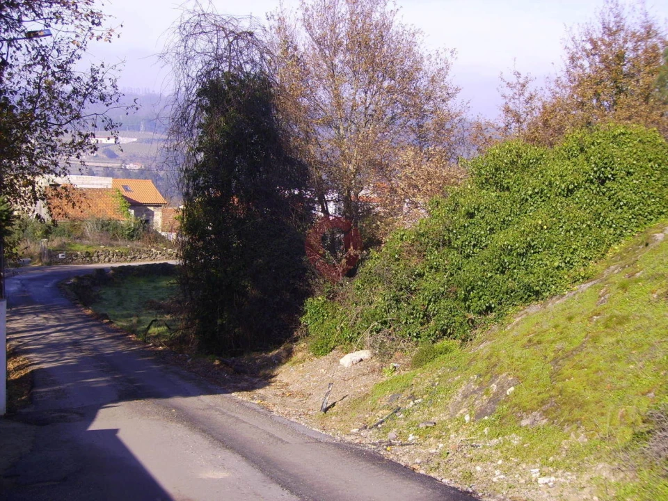 Terreno para Venda em Chaviães e Paços Foto 7