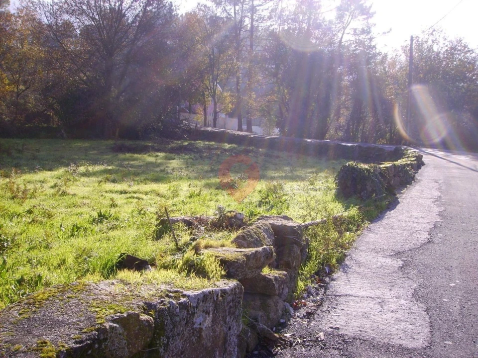 Terreno para Venda em Chaviães e Paços Foto 1