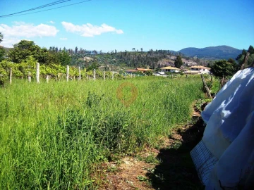 Terreno para Venda em Monção e Troviscoso