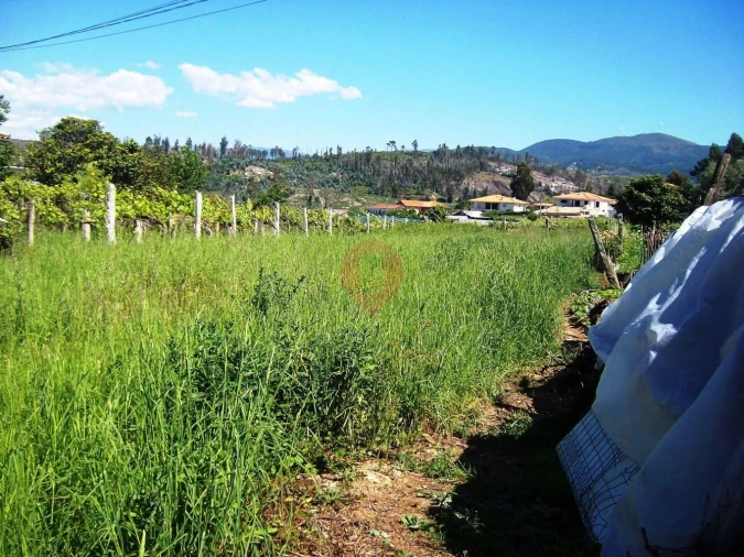 Terreno para Venda em Monção e Troviscoso Foto 2
