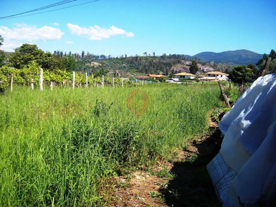 Terreno para Venda em Monção e Troviscoso Foto 2