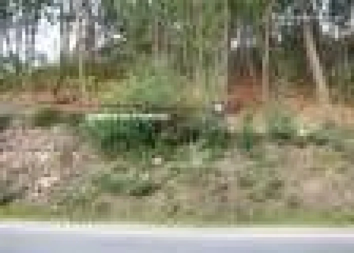 Terreno para Venda em Moreira Foto 4