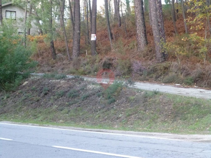 Terreno para Venda em Moreira Foto 2