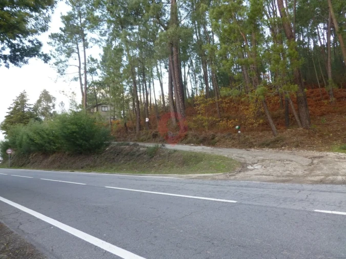 Terreno para Venda em Moreira