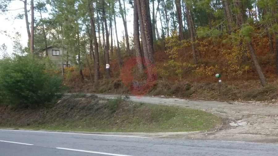 Terreno para Venda em Moreira