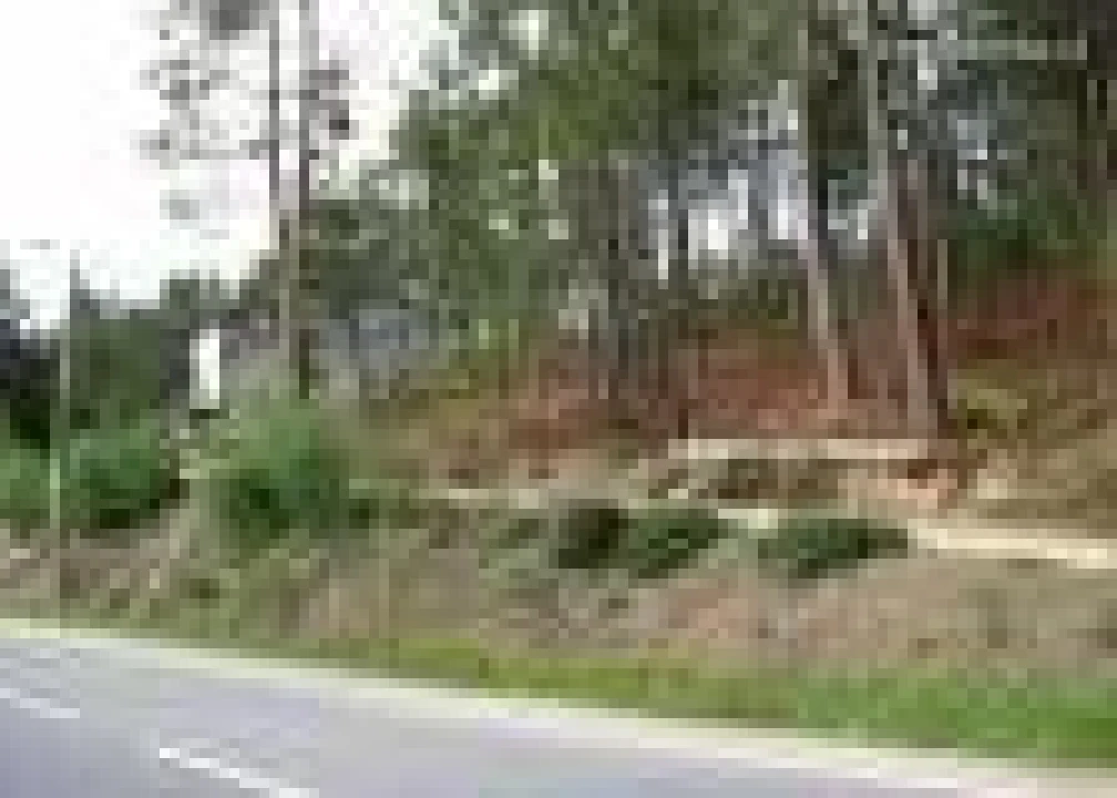 Terreno para Venda em Moreira Foto 3