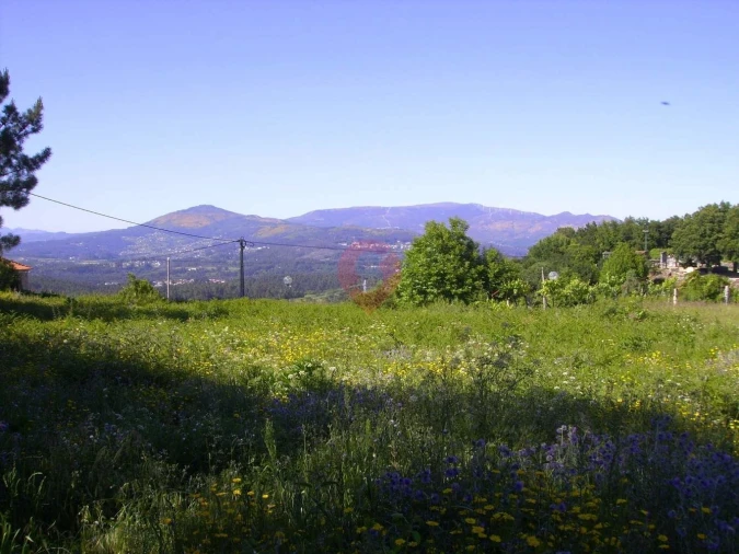 Terreno para Venda em Longos Vales