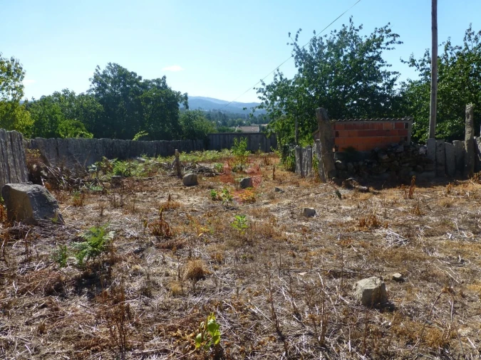 Terreno para Venda em Mazedo e Cortes Foto 2
