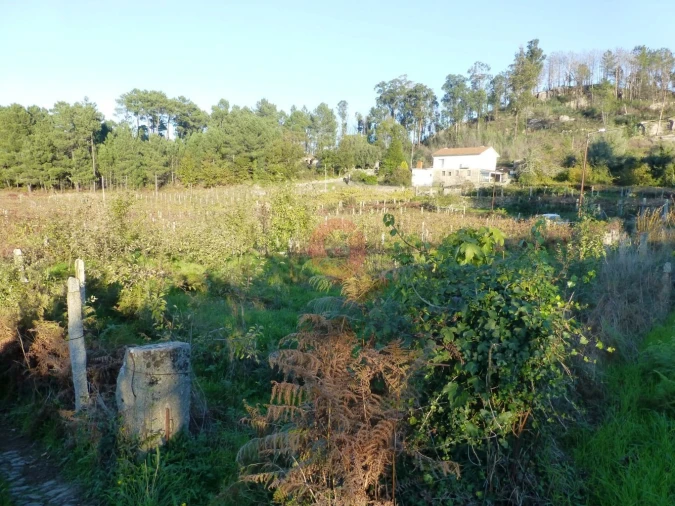 Terreno para Venda em Lara Foto 4