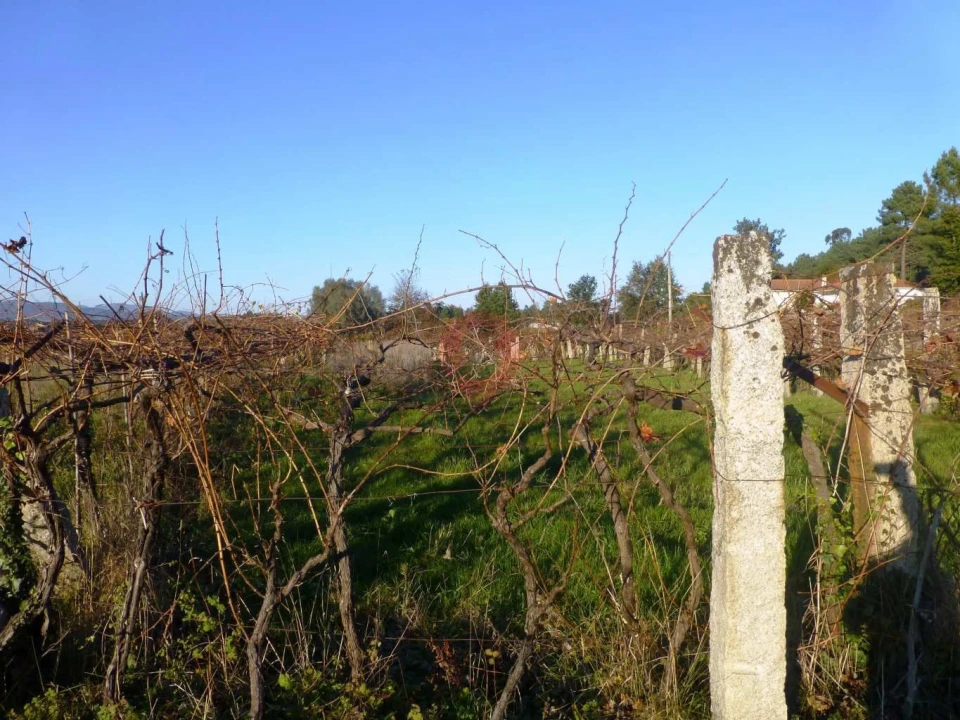 Terreno para Venda em Lara Foto 2