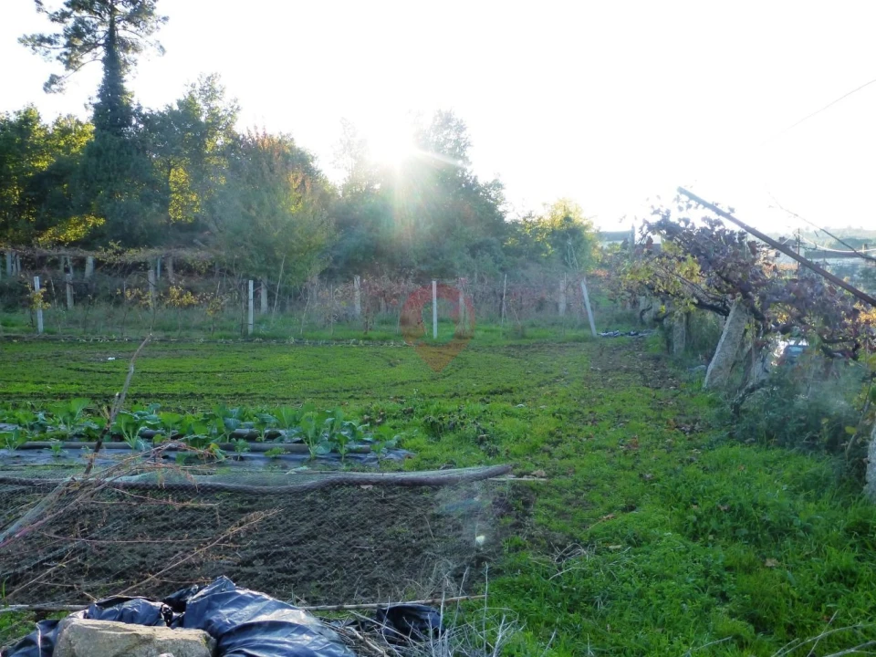 Terreno para Venda em Lara Foto 5