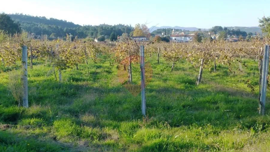 Terreno para Venda em Lara
