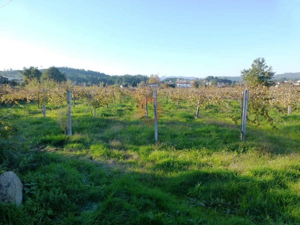 Terreno para Venda em Lara Foto 1