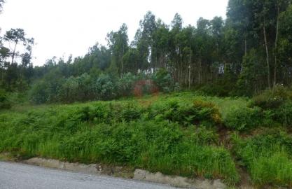 Terreno para Venda em Monção e Troviscoso