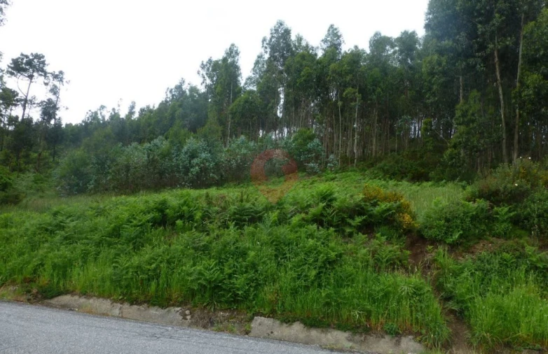 Terreno para Venda em Monção e Troviscoso Foto 3