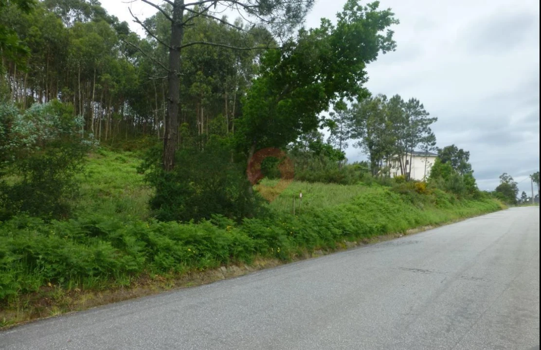 Terreno para Venda em Monção e Troviscoso Foto 2