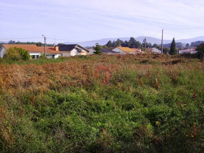 Terreno para Venda em Bela Foto 2