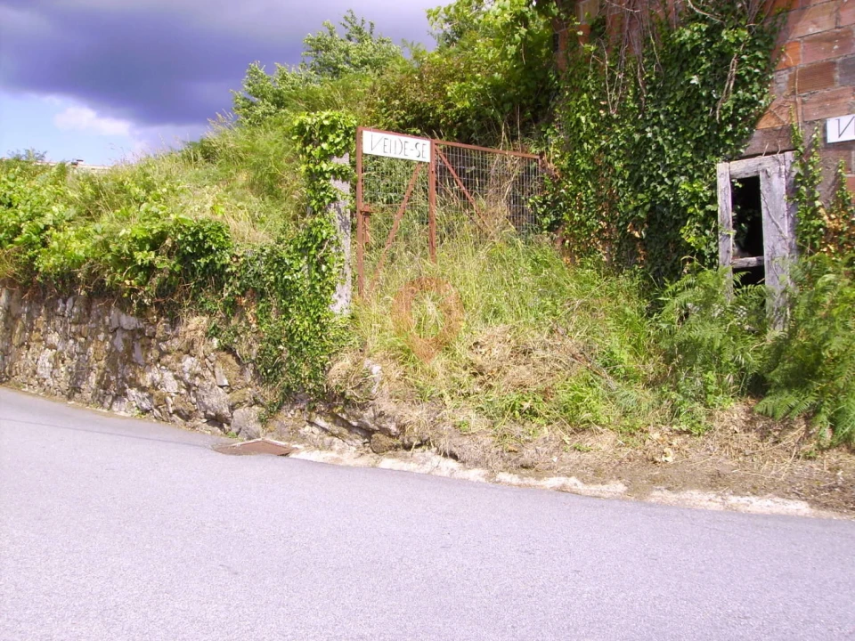 Terreno para Venda em Alvaredo Foto 3