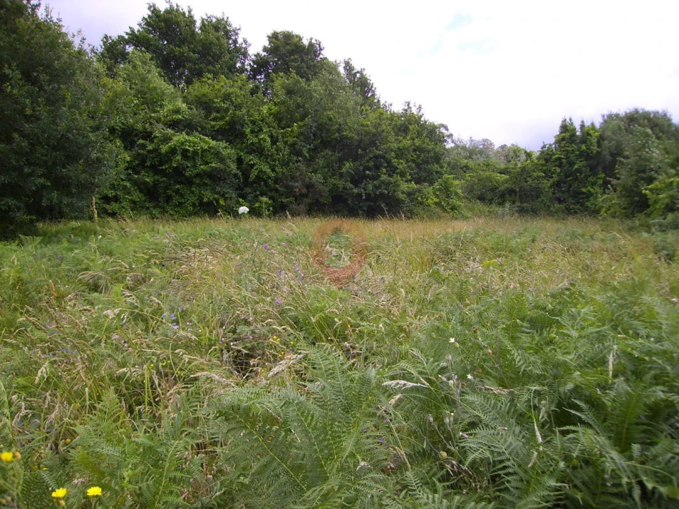 Terreno para Venda em Alvaredo Foto 2
