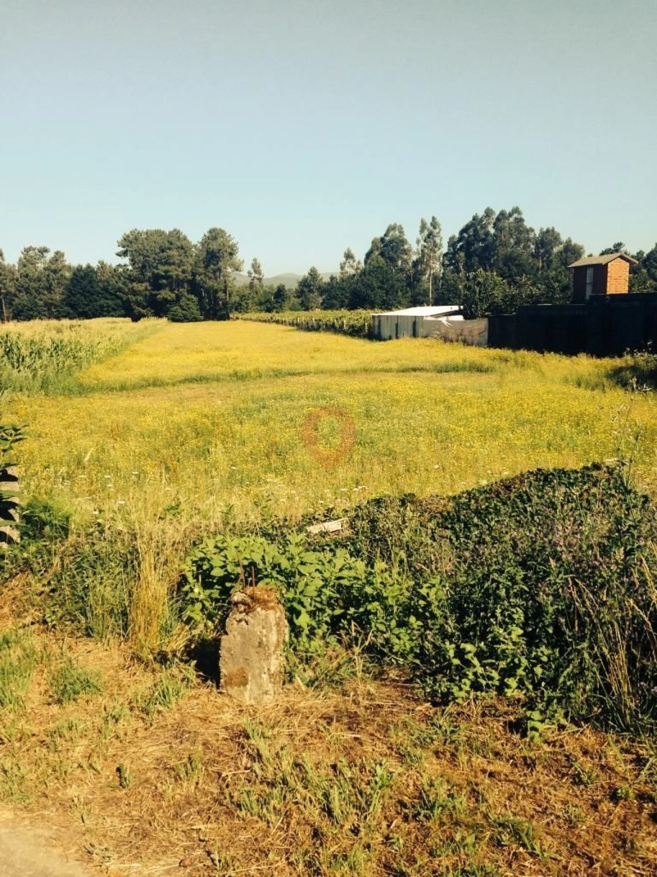 Terreno para Venda em Campos e Vila Meã Foto 1