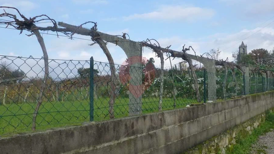 Terreno para Venda em Podame