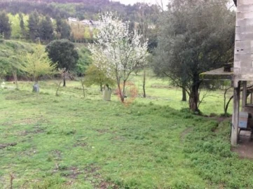 Terreno para Venda em Adaufe
