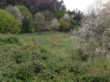 Terreno para Venda em Adaufe