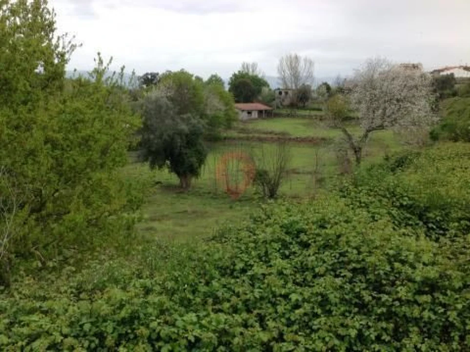 Terreno para Venda em Adaufe Foto 3