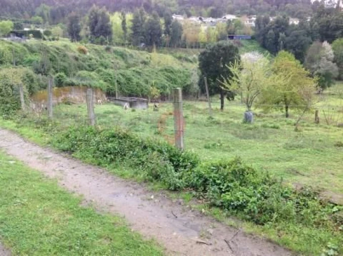 Terreno para Venda em Adaufe Foto 4