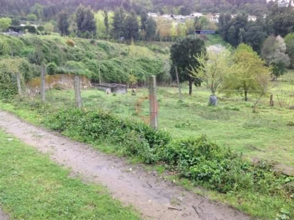 Terreno para Venda em Adaufe Foto 4